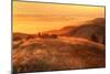 Anticipation of Sunset, Mount Tamalpais-Vincent James-Mounted Photographic Print