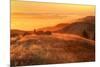 Anticipation of Sunset, Mount Tamalpais-Vincent James-Mounted Photographic Print