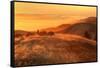 Anticipation of Sunset, Mount Tamalpais-Vincent James-Framed Stretched Canvas