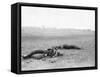 Antietam, MD, Dead Confederates Near Burnside Bridge, Civil War-Lantern Press-Framed Stretched Canvas