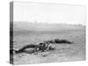 Antietam, MD, Dead Confederates Near Burnside Bridge, Civil War-Lantern Press-Stretched Canvas