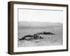 Antietam, MD, Dead Confederates Near Burnside Bridge, Civil War-Lantern Press-Framed Art Print