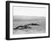 Antietam, MD, Dead Confederates Near Burnside Bridge, Civil War-Lantern Press-Framed Art Print