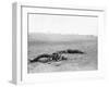 Antietam, MD, Dead Confederates Near Burnside Bridge, Civil War-Lantern Press-Framed Art Print