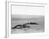 Antietam, MD, Dead Confederates Near Burnside Bridge, Civil War-Lantern Press-Framed Art Print