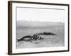 Antietam, MD, Dead Confederates Near Burnside Bridge, Civil War-Lantern Press-Framed Art Print