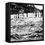 Antietam, MD, Dead Soldiers on Battlefield, Civil War-Lantern Press-Framed Stretched Canvas