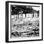 Antietam, MD, Dead Soldiers on Battlefield, Civil War-Lantern Press-Framed Art Print