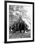 Antietam, MD, Pinkerton, Lincoln and McClernand, Civil War-Lantern Press-Framed Art Print