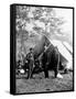 Antietam, MD, Pinkerton, Lincoln and McClernand, Civil War-Lantern Press-Framed Stretched Canvas