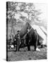Antietam, MD, Pinkerton, Lincoln and McClernand, Civil War-Lantern Press-Stretched Canvas