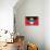Antigua And Barbuda Flag Design with Wood Patterning - Flags of the World Series-Philippe Hugonnard-Stretched Canvas displayed on a wall