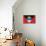 Antigua And Barbuda Flag Design with Wood Patterning - Flags of the World Series-Philippe Hugonnard-Mounted Art Print displayed on a wall