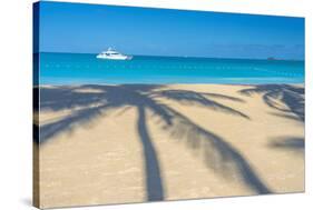 Antigua, Jolly Bay Beach, Palm Trees Casting Shadows-Alan Copson-Stretched Canvas