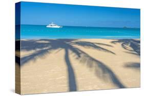 Antigua, Jolly Bay Beach, Palm Trees Casting Shadows-Alan Copson-Stretched Canvas