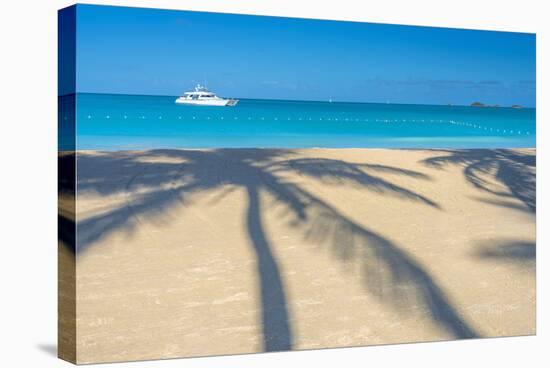 Antigua, Jolly Bay Beach, Palm Trees Casting Shadows-Alan Copson-Stretched Canvas