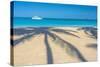 Antigua, Jolly Bay Beach, Palm Trees Casting Shadows-Alan Copson-Stretched Canvas