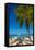 Antigua, Jolly Bay Beach, Palm Trees Casting Shadows-Alan Copson-Framed Stretched Canvas