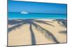 Antigua, Jolly Bay Beach, Palm Trees Casting Shadows-Alan Copson-Mounted Photographic Print