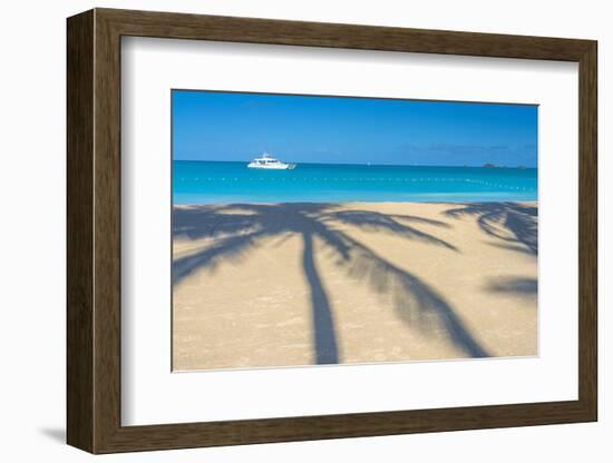 Antigua, Jolly Bay Beach, Palm Trees Casting Shadows-Alan Copson-Framed Photographic Print