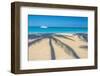 Antigua, Jolly Bay Beach, Palm Trees Casting Shadows-Alan Copson-Framed Photographic Print