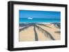 Antigua, Jolly Bay Beach, Palm Trees Casting Shadows-Alan Copson-Framed Photographic Print