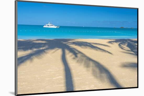 Antigua, Jolly Bay Beach, Palm Trees Casting Shadows-Alan Copson-Mounted Photographic Print