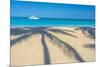 Antigua, Jolly Bay Beach, Palm Trees Casting Shadows-Alan Copson-Mounted Photographic Print