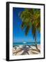 Antigua, Jolly Bay Beach, Palm Trees Casting Shadows-Alan Copson-Framed Photographic Print