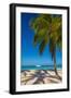 Antigua, Jolly Bay Beach, Palm Trees Casting Shadows-Alan Copson-Framed Photographic Print