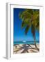 Antigua, Jolly Bay Beach, Palm Trees Casting Shadows-Alan Copson-Framed Photographic Print