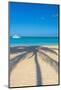 Antigua, Jolly Bay Beach, Palm Trees Casting Shadows-Alan Copson-Mounted Photographic Print