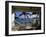 Antigua-null-Framed Photographic Print