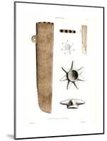 Antigüedades, Atlas de La Historia Física y Política de Chile, 1854-Claudio Gay-Mounted Giclee Print