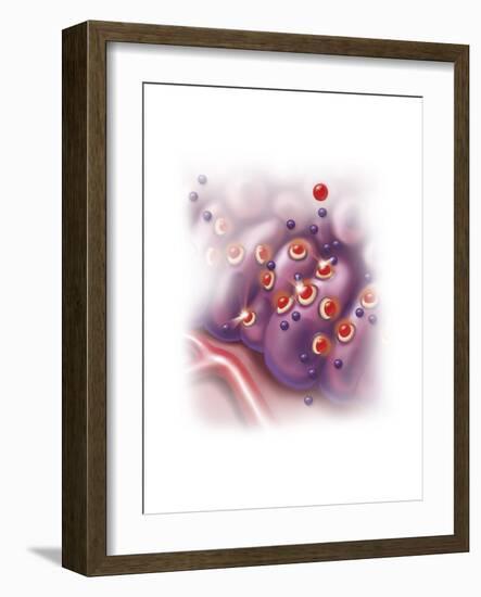 Antihistamine in Histamine Receptors Blocking the Allergic Reaction-null-Framed Art Print