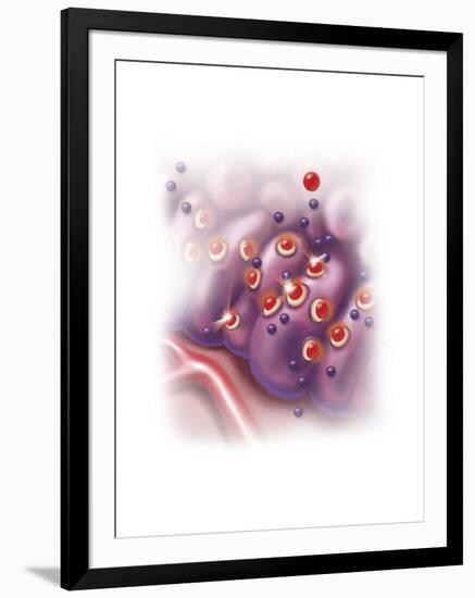 Antihistamine in Histamine Receptors Blocking the Allergic Reaction-null-Framed Art Print