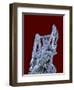 Antimonite-Walter Geiersperger-Framed Premium Photographic Print