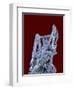 Antimonite-Walter Geiersperger-Framed Premium Photographic Print