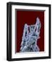 Antimonite-Walter Geiersperger-Framed Photographic Print