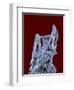 Antimonite-Walter Geiersperger-Framed Photographic Print