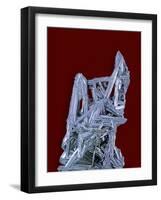 Antimonite-Walter Geiersperger-Framed Photographic Print