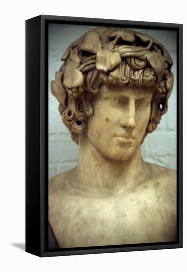 Antinous, Bithynian Youth, Favourite and Companion of the Roman Emperor Hadrian-null-Framed Stretched Canvas