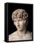 Antinous Farnese, 2nd Century, Marble, All Rounded-null-Framed Stretched Canvas