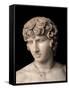 Antinous Farnese, 2nd Century, Marble, All Rounded-null-Framed Stretched Canvas
