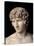 Antinous Farnese, 2nd Century, Marble, All Rounded-null-Stretched Canvas