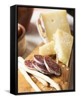Antipasto Rustico (Grissini, Salami, Pecorino and Parmesan)-null-Framed Stretched Canvas