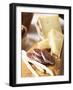 Antipasto Rustico (Grissini, Salami, Pecorino and Parmesan)-null-Framed Photographic Print