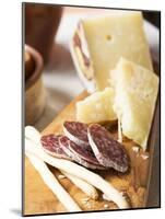 Antipasto Rustico (Grissini, Salami, Pecorino and Parmesan)-null-Mounted Photographic Print