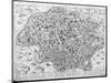 Antiquae Urbis Perfecta Imago, Map of Rome, C.1600-Ambrogio Brambilla-Mounted Giclee Print