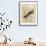 Antiquarian Birds I-null-Framed Stretched Canvas displayed on a wall